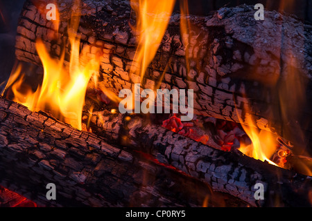 Flames dance on charred wood logs in a campfire Stock Photo