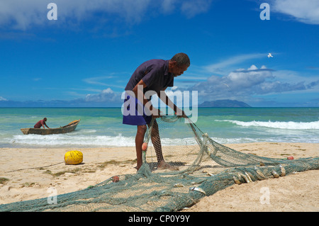 Local fisherman taking fish from the nets that have just been brought in from the Indian Ocean, Seychelles, Stock Photo