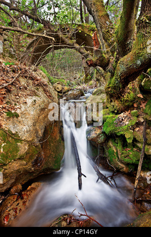 Walking in the gorge of Kambia, the most beautiful trail, on the north part of Chios island, Northeast Aegean, Greece Stock Photo