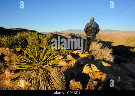 Sunrise from the top of Hi-View Nature Trail, Black Rock Campground, Joshua Tree National Park Stock Photo