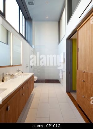 Bathroom with built-in storage in Greenwich Village townhouse, New York, USA. Stock Photo