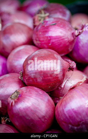 Red onions Stock Photo