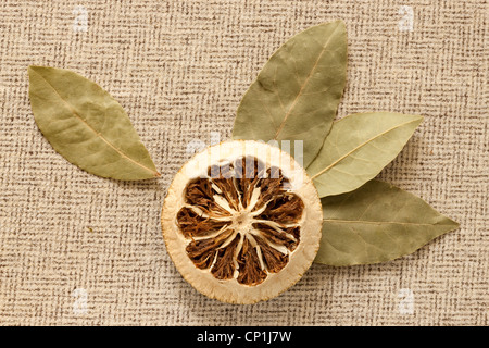 Bay Leaf and dry lemon Stock Photo