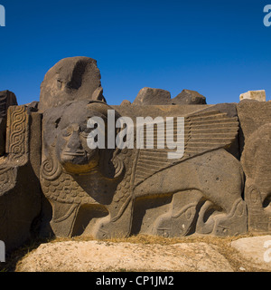 Massive Basalt Hittite Lion Carving, Syria Stock Photo