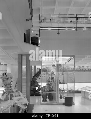 University Museum of Zoology, Cambridge Arup Associates Stock Photo