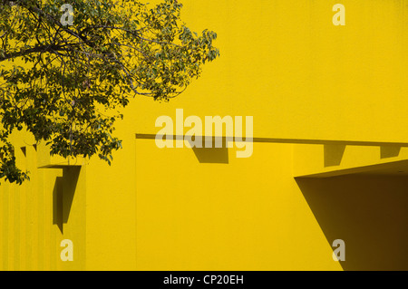 Yellow stucco wall and tree abstract Stock Photo