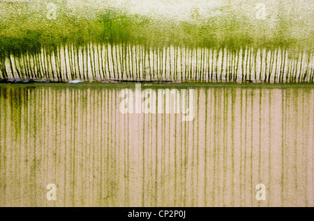 old urban wall background and texture Stock Photo