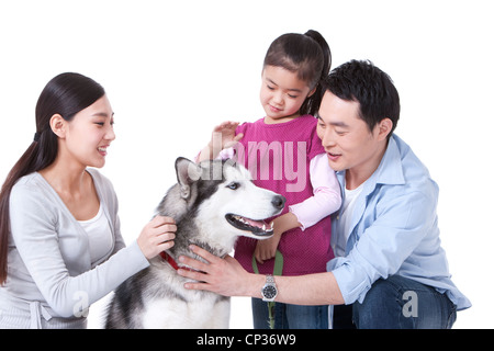 Family playing with a Husky dog Stock Photo