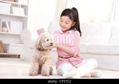 Little girl playing with a pet toy poodle Stock Photo