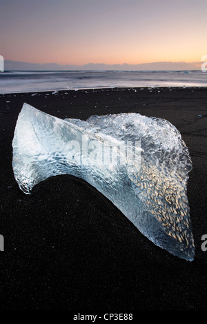 Ice sculpture on the volcanic shoreline of black beach in Iceland Stock Photo