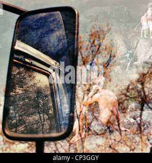 Multiple exposure of truck rear view mirror, autumn tree branches and a man looking at children climbing some rocks in a forest. Stock Photo