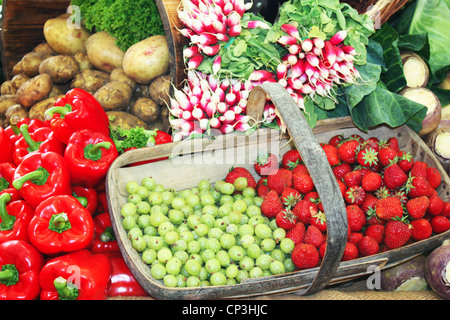 Colorful fresh vegetables in a basket Stock Photo
