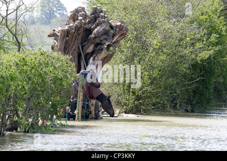 Horses struggling in flooded fields Stock Photo