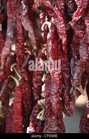 Strung peppers dry in the sun on the patio of a farm in La Vera valley nr. Cáceres, Extremadura, Spain Stock Photo