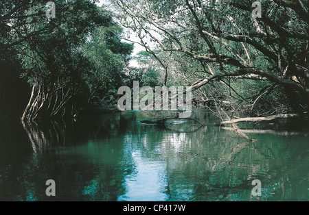 Congo River Kafubu Stock Photo