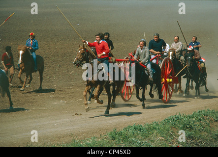 Molise - San Martino in Pensilis (Cb). Chariot race (A carrees Carrese o) Stock Photo