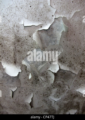 flaking paint on damp ceiling in house home Stock Photo