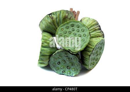 Lotus seed head Stock Photo