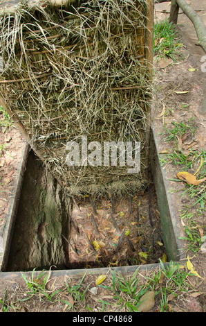 Vietnam, Cu Chi. Ben Duoc, 200 km long underground tunnel complex used during the Vietnam war. Jungle booby-trap. Stock Photo