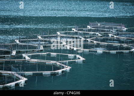 Norway Hordaland: Salmon Farm Stock Photo