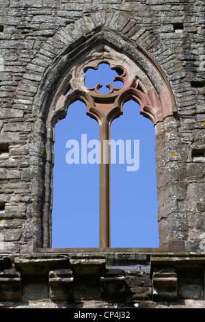 United Kingdom England Wales Monmounthshire. Tintern Abbey, Cistercian Abbey, first in Wales, founded in 1131 by Walter de Stock Photo