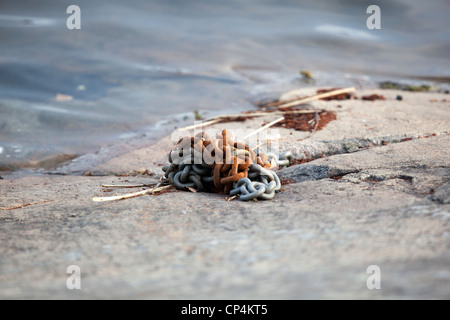 Rusty mooring chain on a rock by the sea Stock Photo