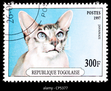Postage stamp from Togo depicting a jawanais cat. Stock Photo
