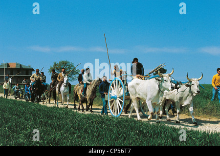 SAN MARTINO IN MOLISE Pensilis chariot race (A CARREES) Stock Photo