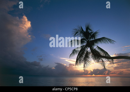 Martinique (overseas department of French Republic). Sunset. Stock Photo