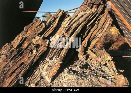 UMBRIA Dunarobba SPECIAL WOOD FOSSIL FOSSIL FOREST Stock Photo