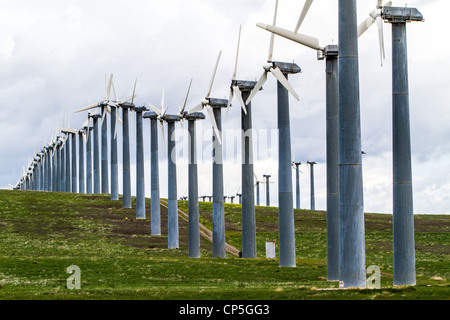 Wind generators at the Altamont pass in Northern California