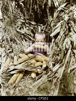 Boy eating a corn cob in a corn field Stock Photo