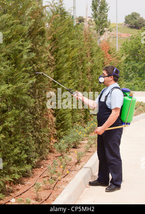 Man spraying insects- pest control Stock Photo