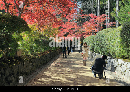 photographer taking pictures of young Japanese model and autumn leaves in Koya- San, Japan Stock Photo