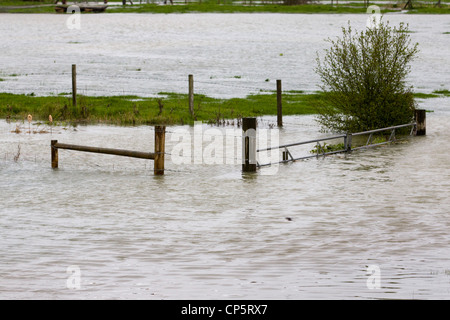 Flood waters at Kings Sutton in Oxfordshire / Northamptonshire England on the River Cherwell Stock Photo