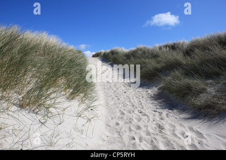 Sandy path with footprints, bordered by marram grass, leading away from the beach Stock Photo