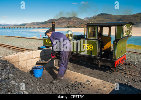 A driver fueling the Fairbourne miniature steam railway train with coal, Cadair Idris mountain in the background, Gwynedd Wales Stock Photo
