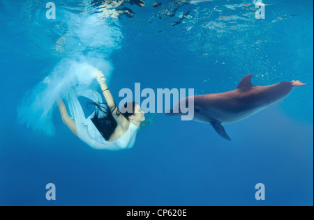 Bright dive with swimming with Bottlenose Dolphin (Tursiops truncatus) Stock Photo