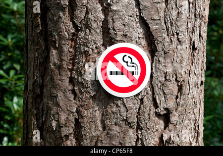 no smoking sign stuck on tree trunk in forest, norfolk, england Stock Photo