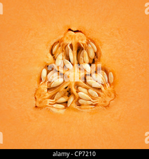 Close-up of a Cantaloupe melon on the inside Stock Photo