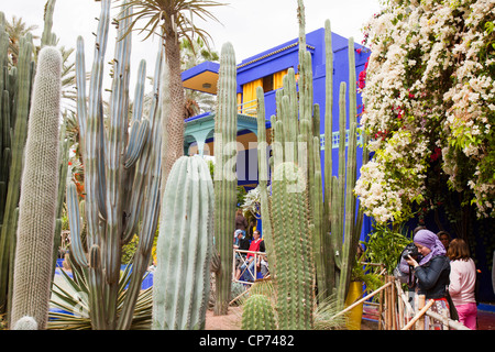 The Marjorelle Gardens in Marrakech, Morocco. Stock Photo