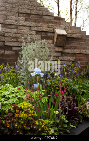 herbaceous border, bute park, cardiff, wales Stock Photo - Alamy