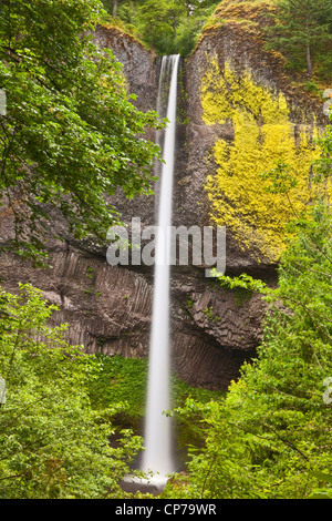 Latourell Falls along the Columbia River Gorge in Oregon, within Guy W. Talbot State Park Stock Photo