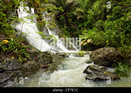 Waterfall in rainforest in the Choco Biological Region in Western Ecuador Stock Photo