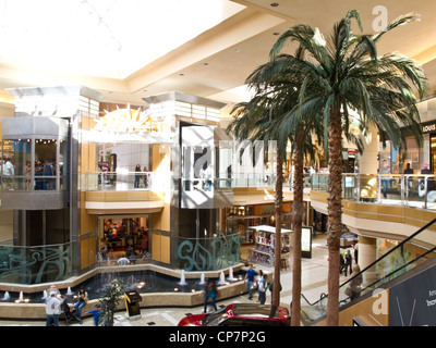 Apple store at the International Mall Tampa, Tampa, Florida Stock Photo -  Alamy