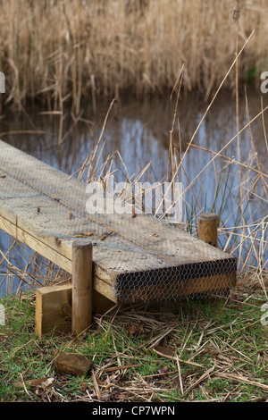 Construction of a simple plank bridge allowing access across a water filled ditch or dyke. Plank covered in wire netting Stock Photo