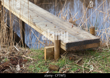 Construction of a simple plank bridge allowing access across a water filled ditch or dyke. Plank covered in wire netting Stock Photo