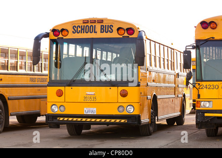 Parked US school buses - California USA Stock Photo