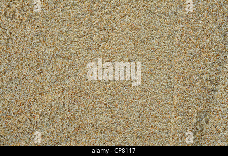 sand background, grains, macro, close up Stock Photo