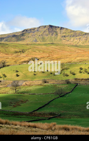 Wild Boar Fell. Mallerstang, Yorkshire Dales National Park, Cumbria, England, United Kingdom, Europe. Stock Photo